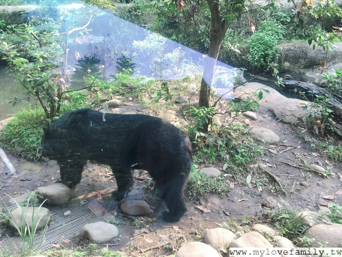 台北市立動物園