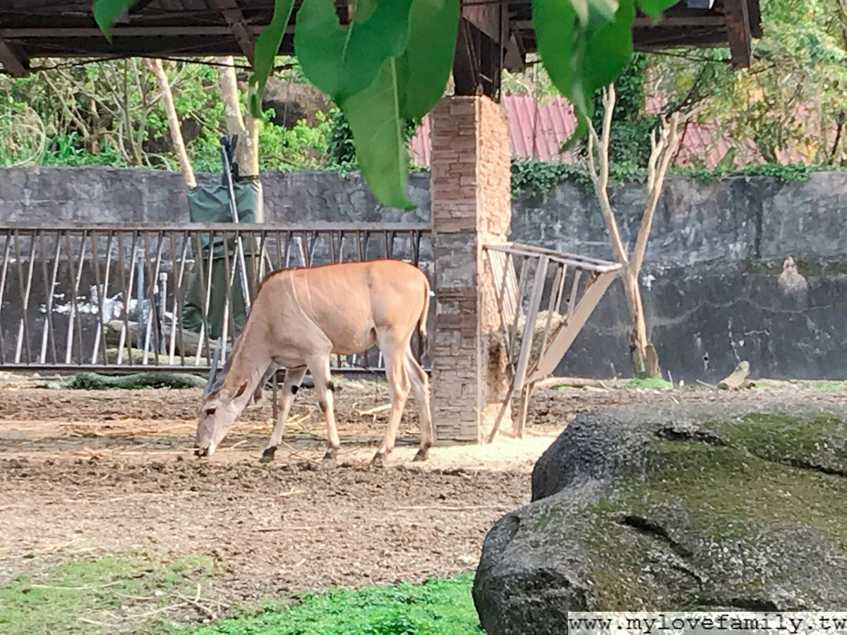 台北市立動物園