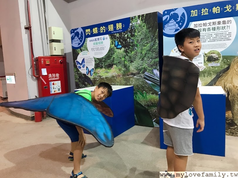 變變變!MOVE生物體驗展