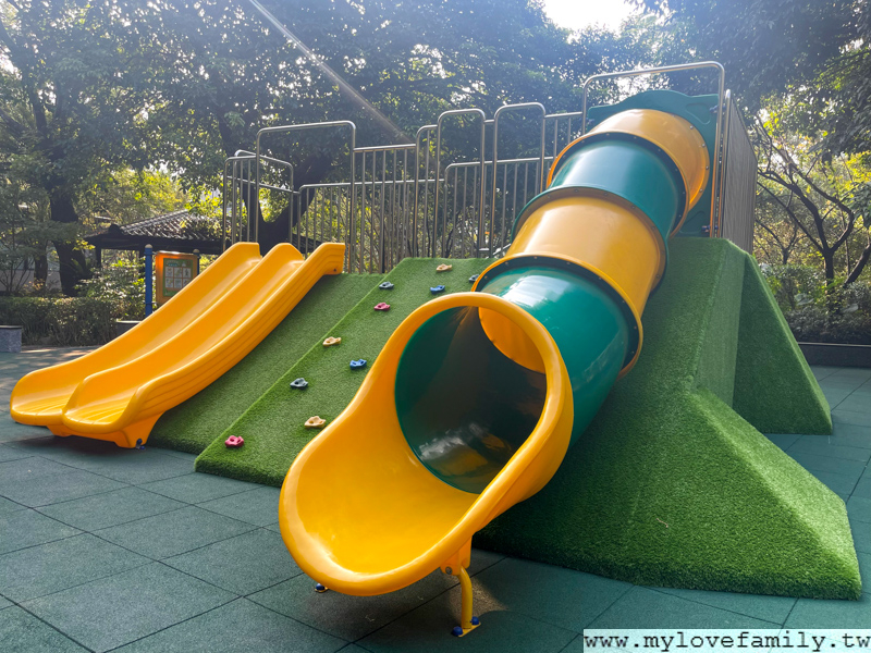 大板根