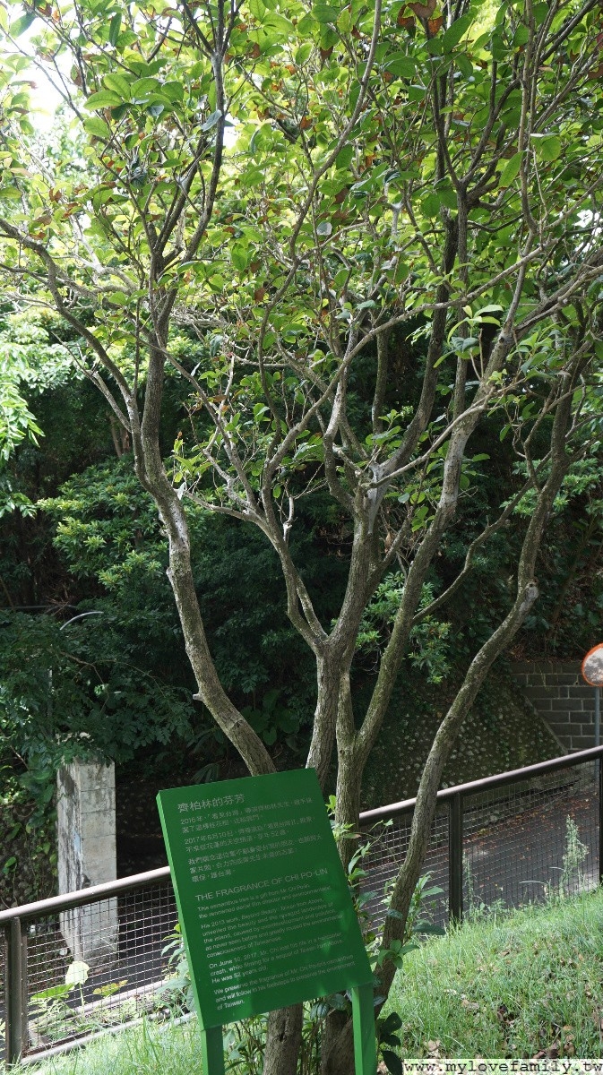 淡水雲門劇場