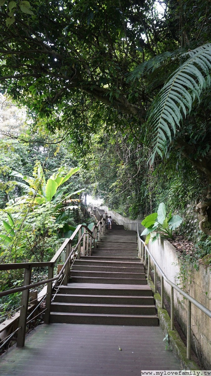 新溪口吊橋