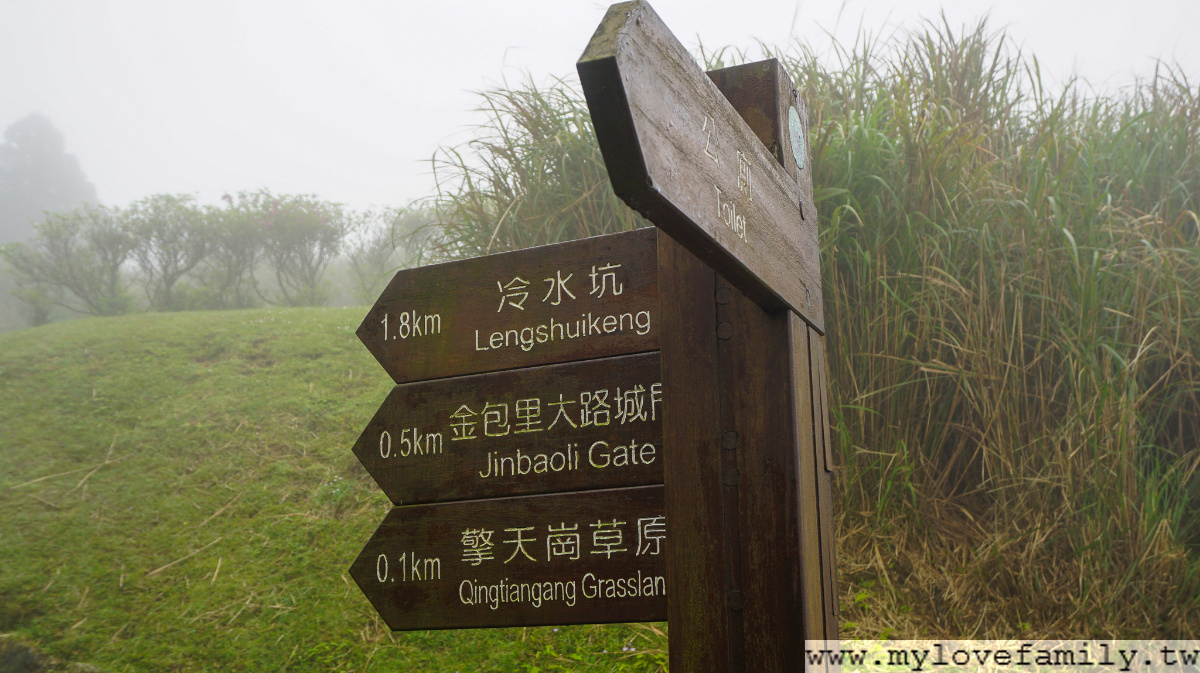 擎天崗