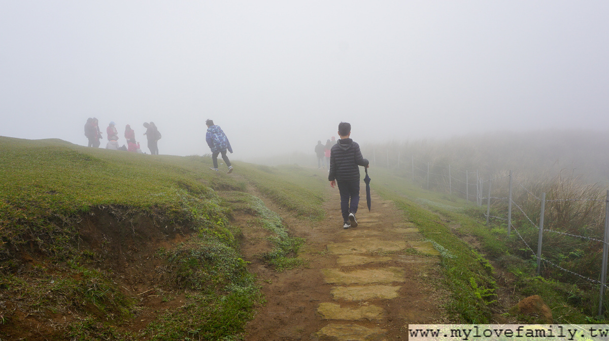 陽明山一日遊