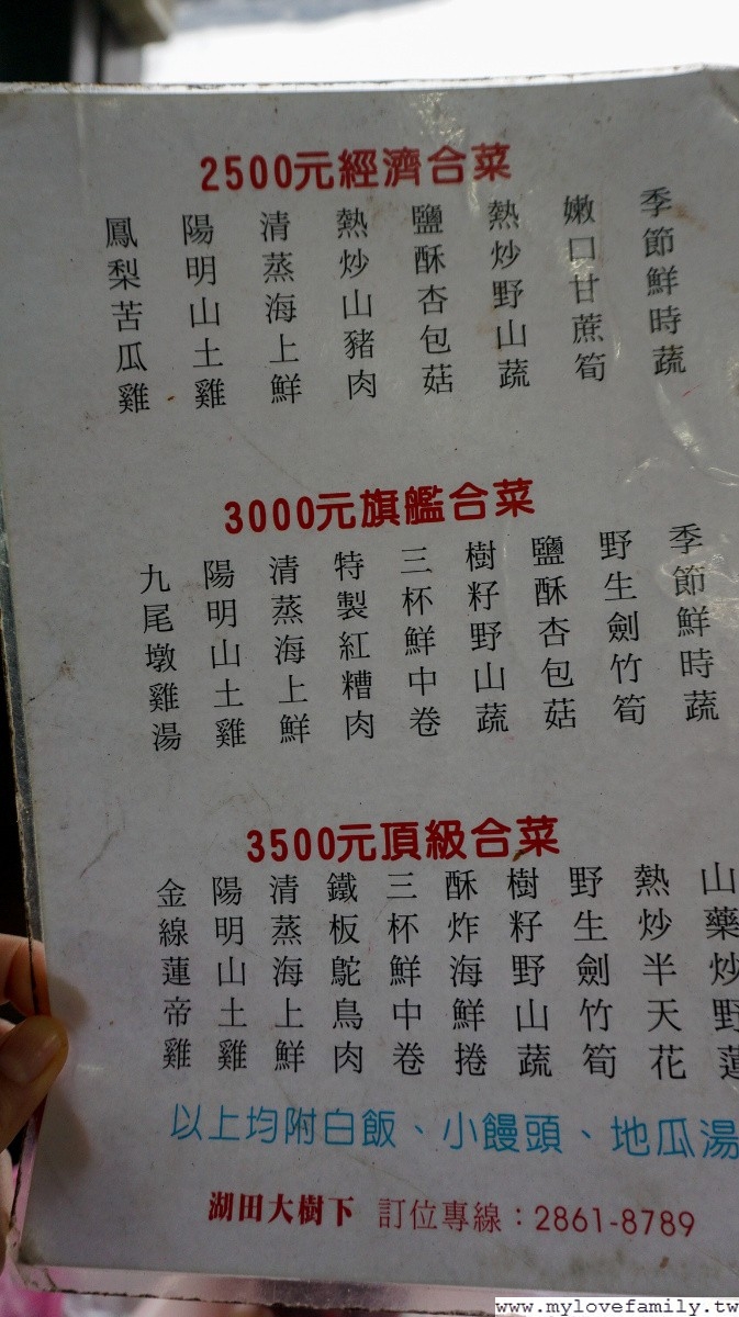 湖田大樹下