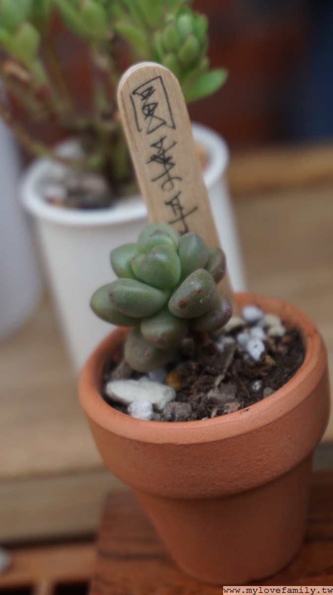 壢小故事森林館