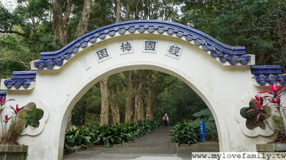 奧爾森林學堂