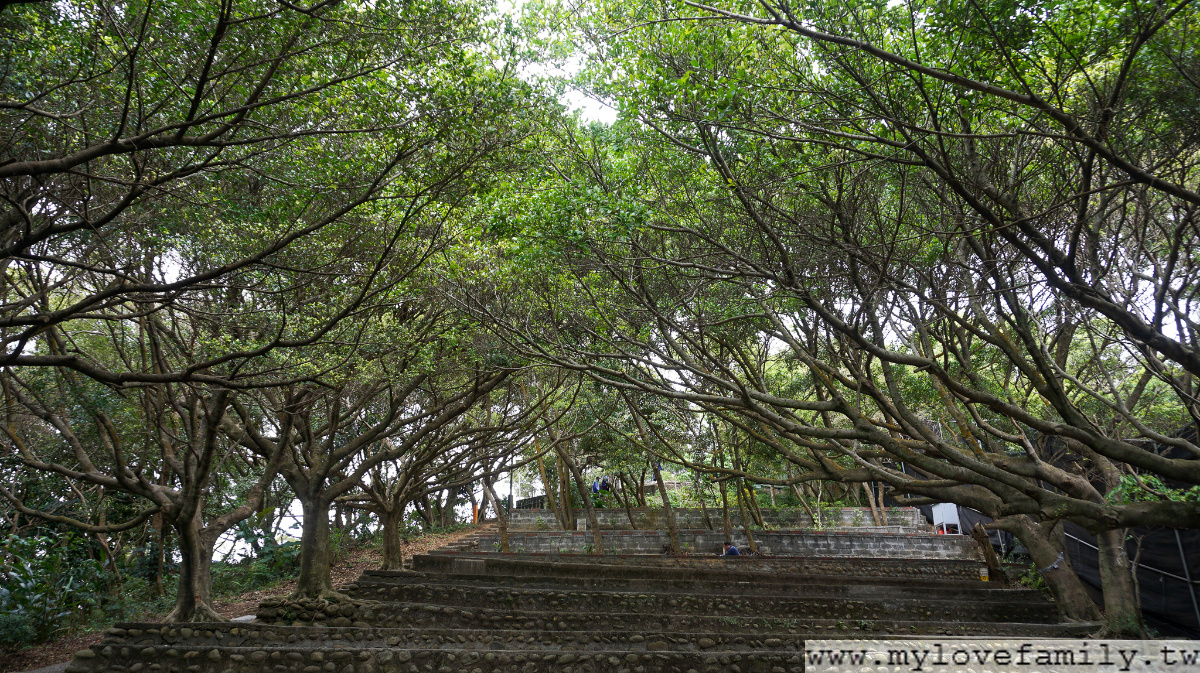 虎頭山公園