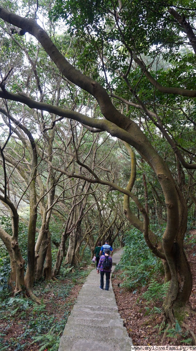 虎頭山公園