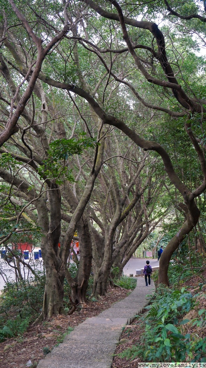 虎頭山步道