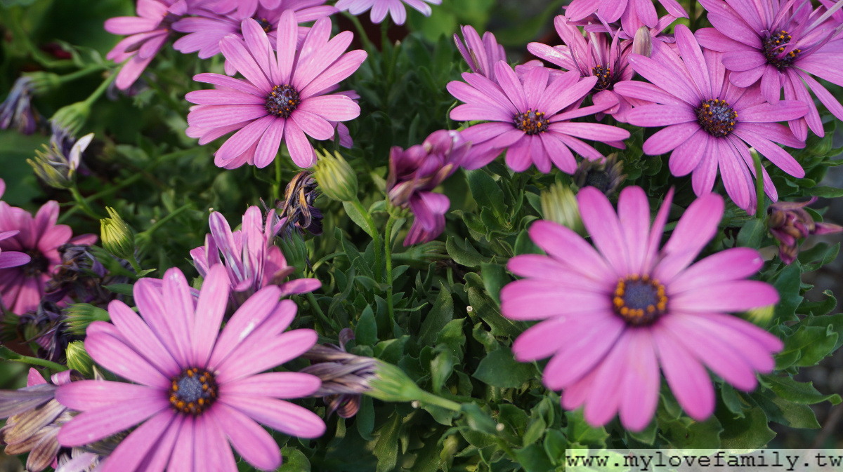 DSC03200