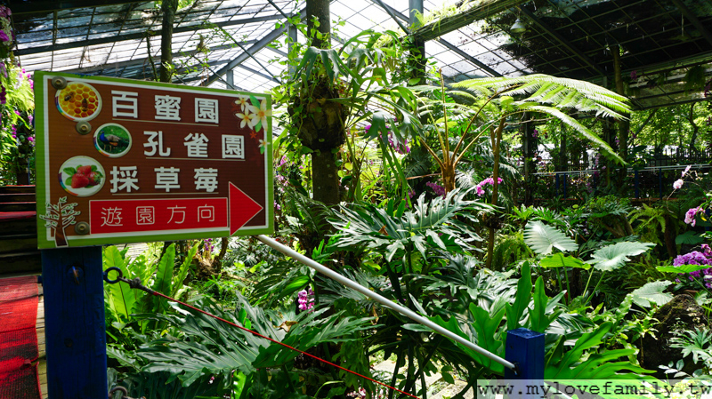 台一生態休閒農場