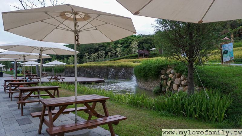 大有梯田生態公園