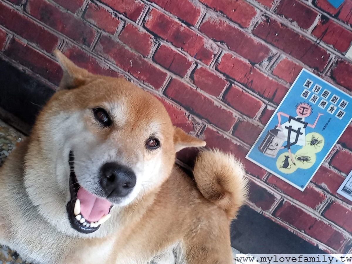 口上小吃