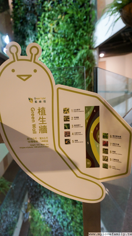 葉綠宿旅館