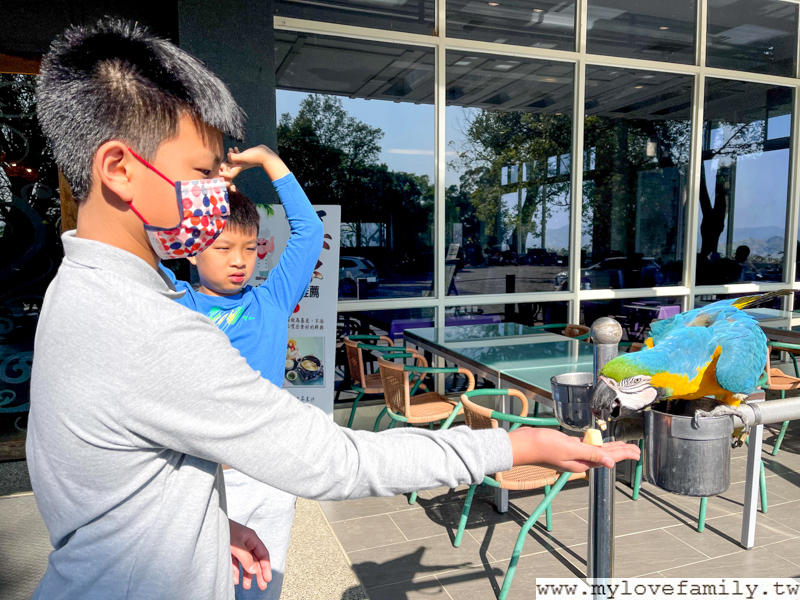 自然風情景觀民宿