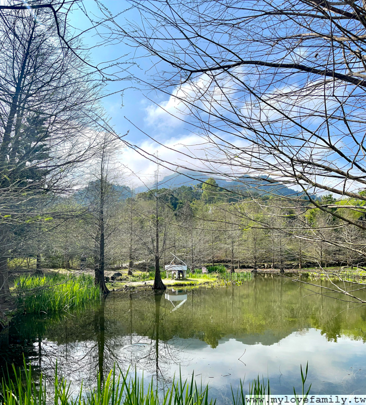 雲水森林