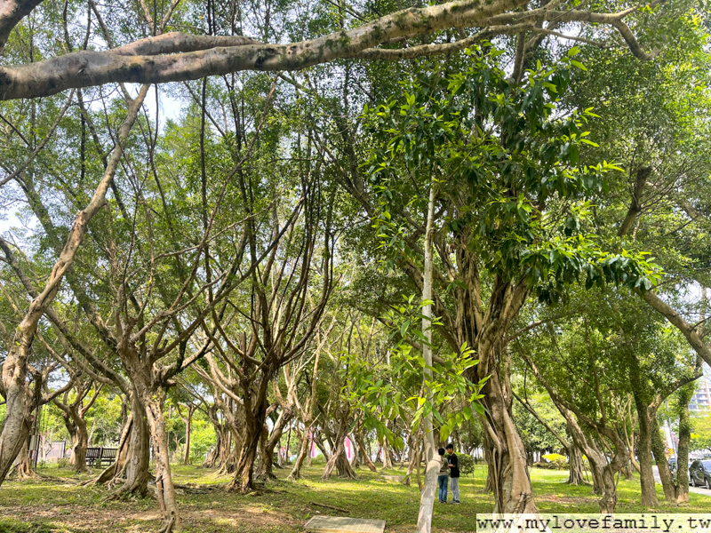 南港公園