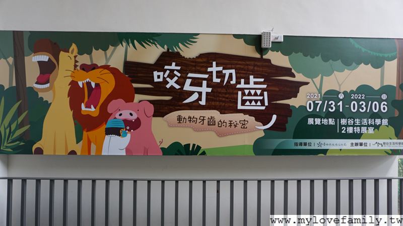 樹谷
