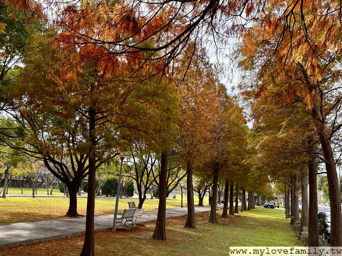【玉山公園】