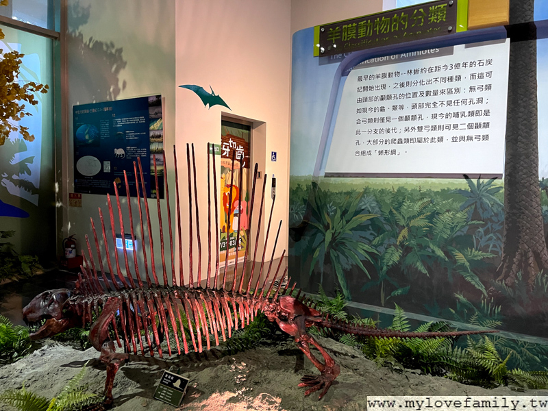 樹谷生活科學館
