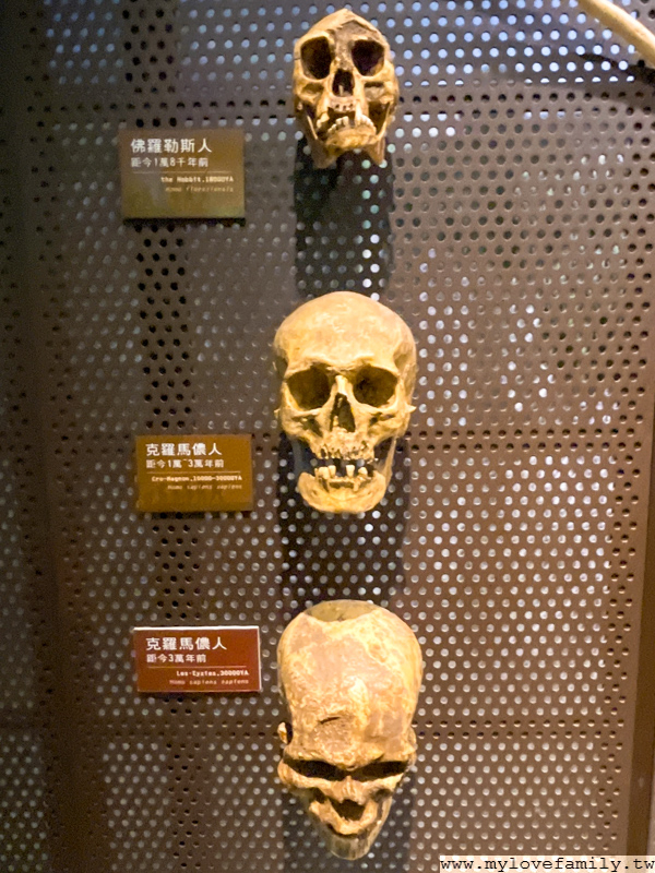 樹谷生活科學館