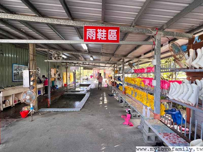 宜蘭農夫青蔥體驗農場