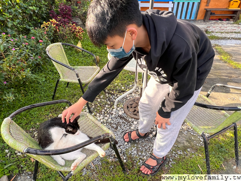 貓天空寵物民宿