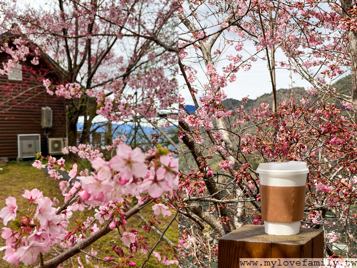 恩愛農場