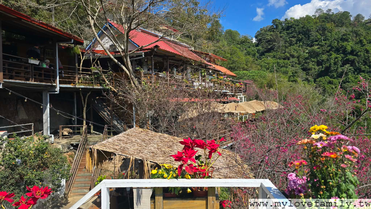 森鄰水岸景觀咖啡館