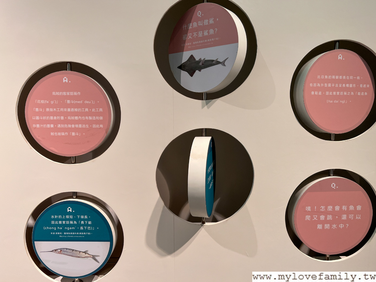 永安海螺文化體驗館