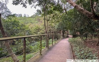 IMG_5656