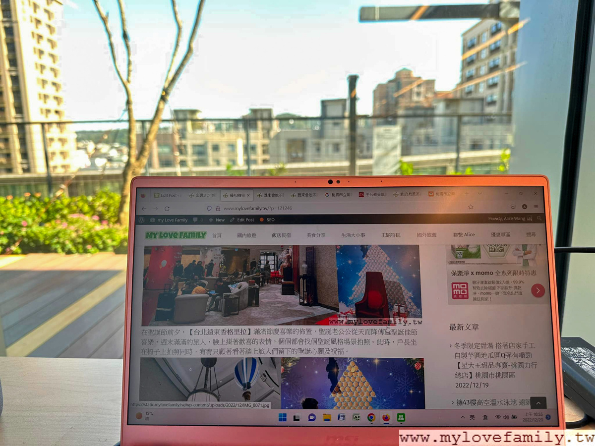桃園