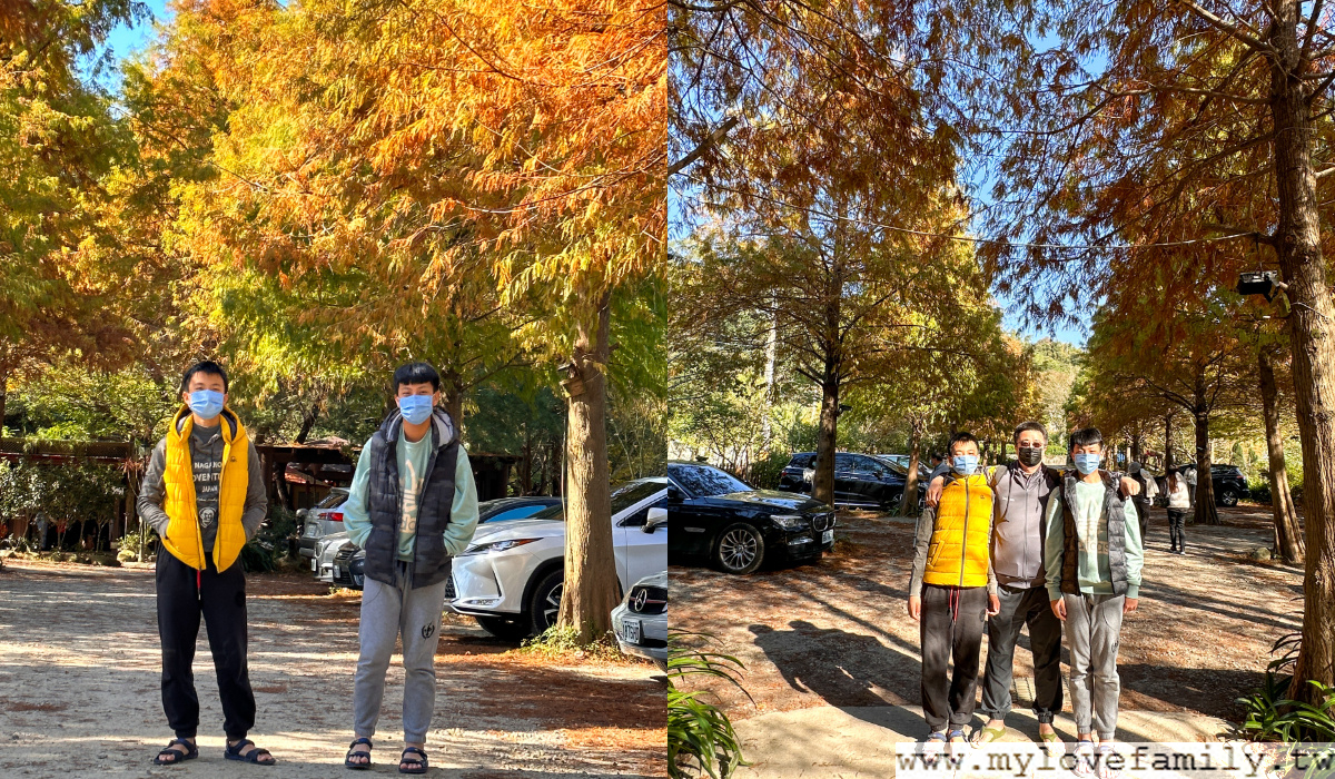 老莊園
