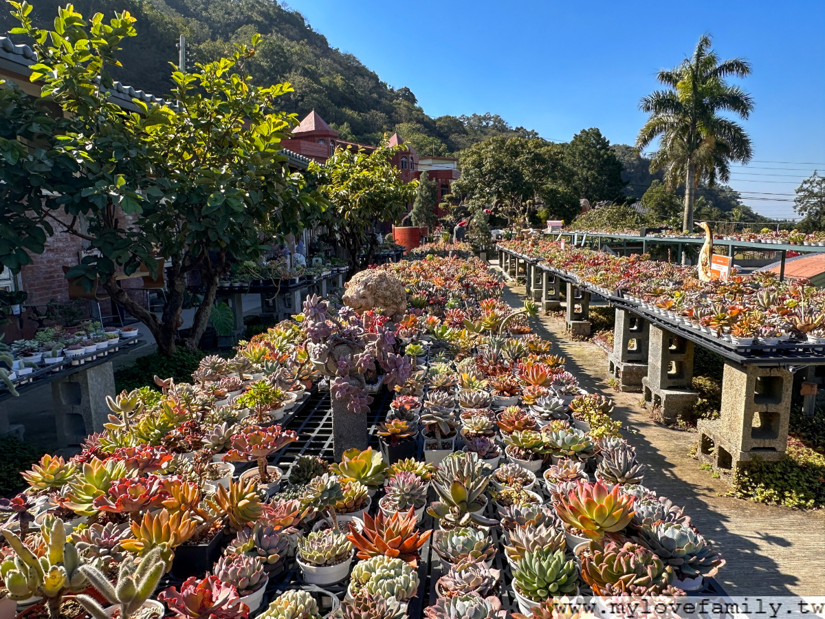 繞山花 - 三和青創基地