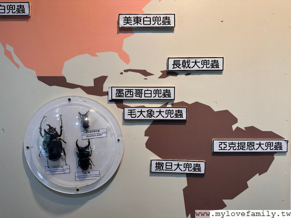 巴陵古道生態步道