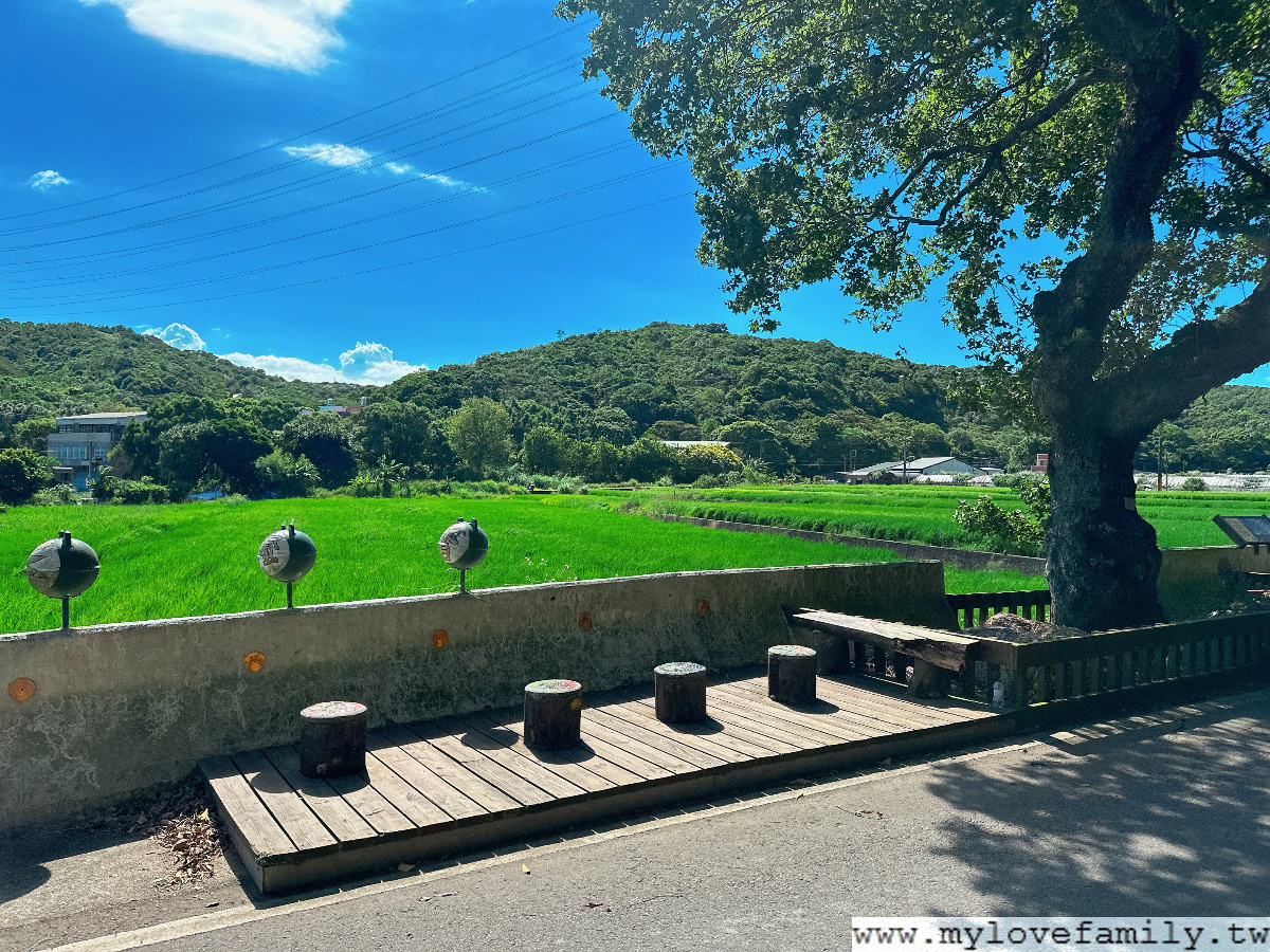 【楓樹村】
