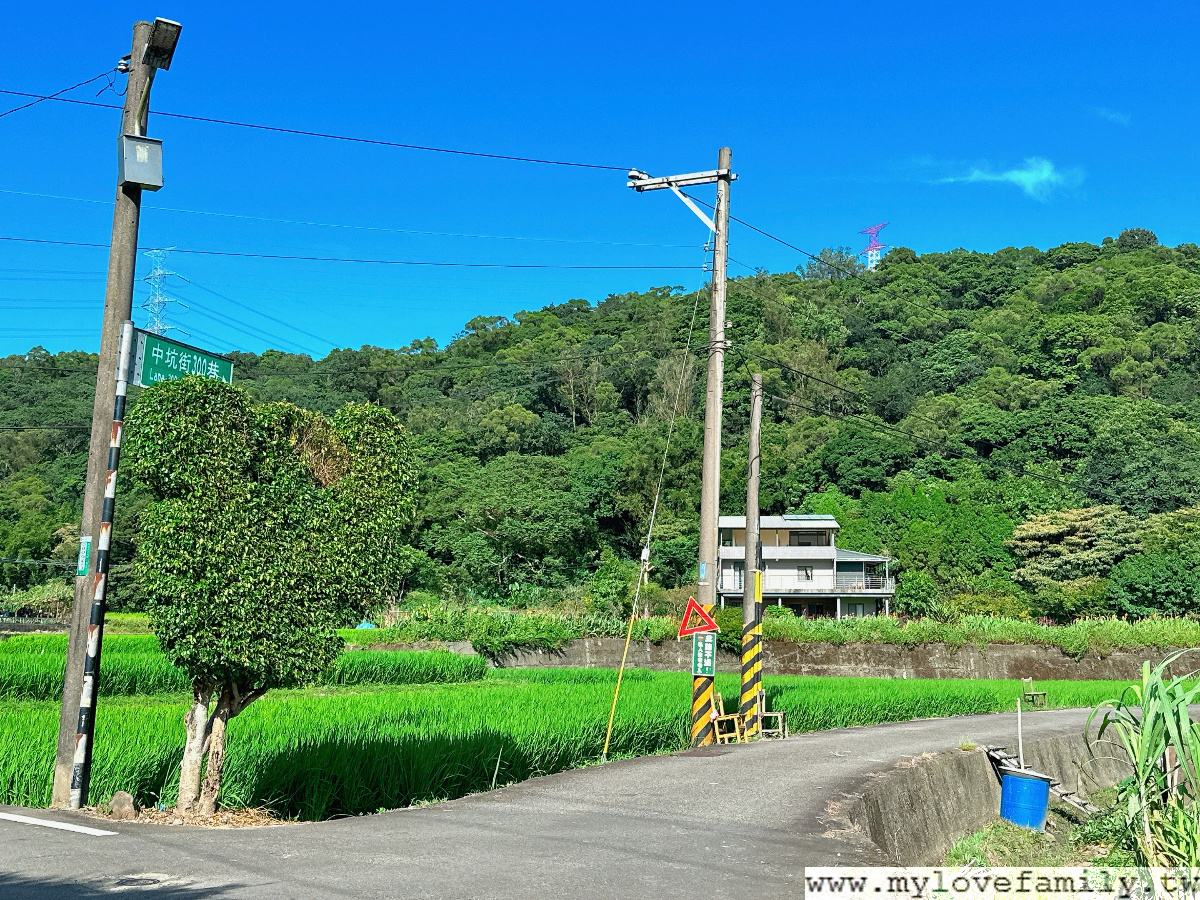 楓樹村