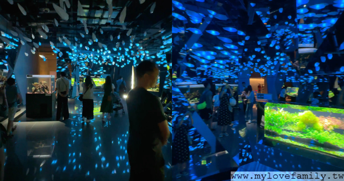 átoa水族館