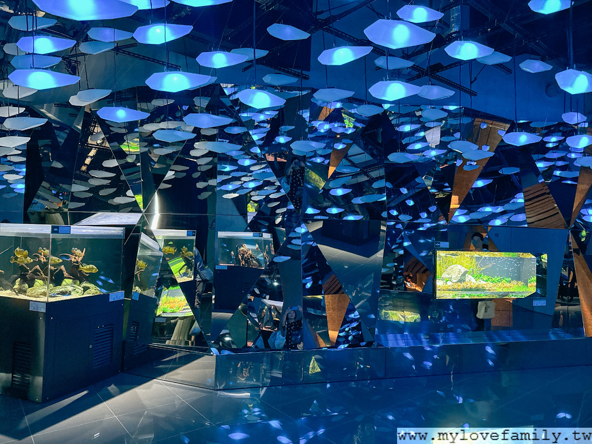 神戶átoa水族館