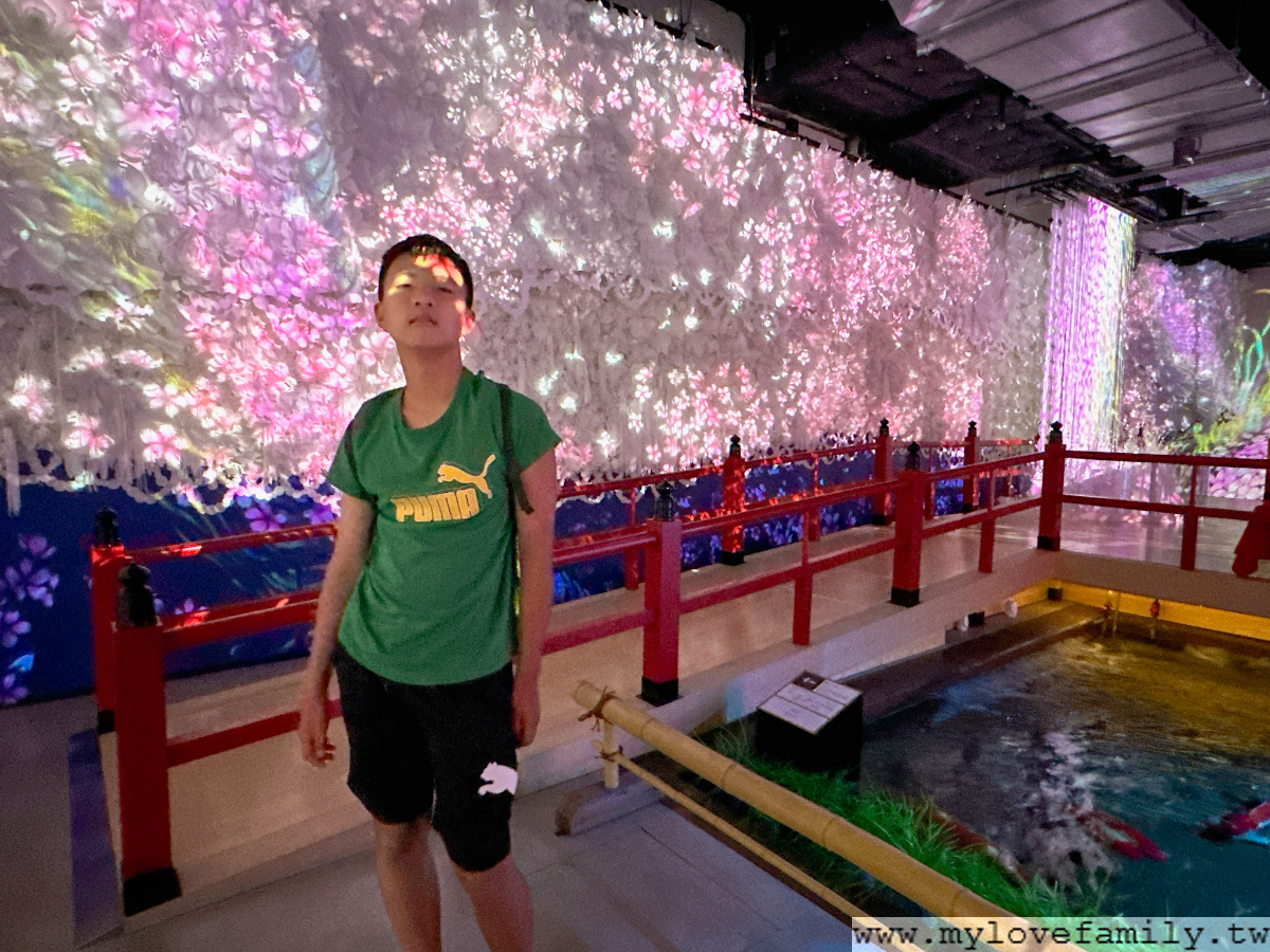神戶átoa水族館