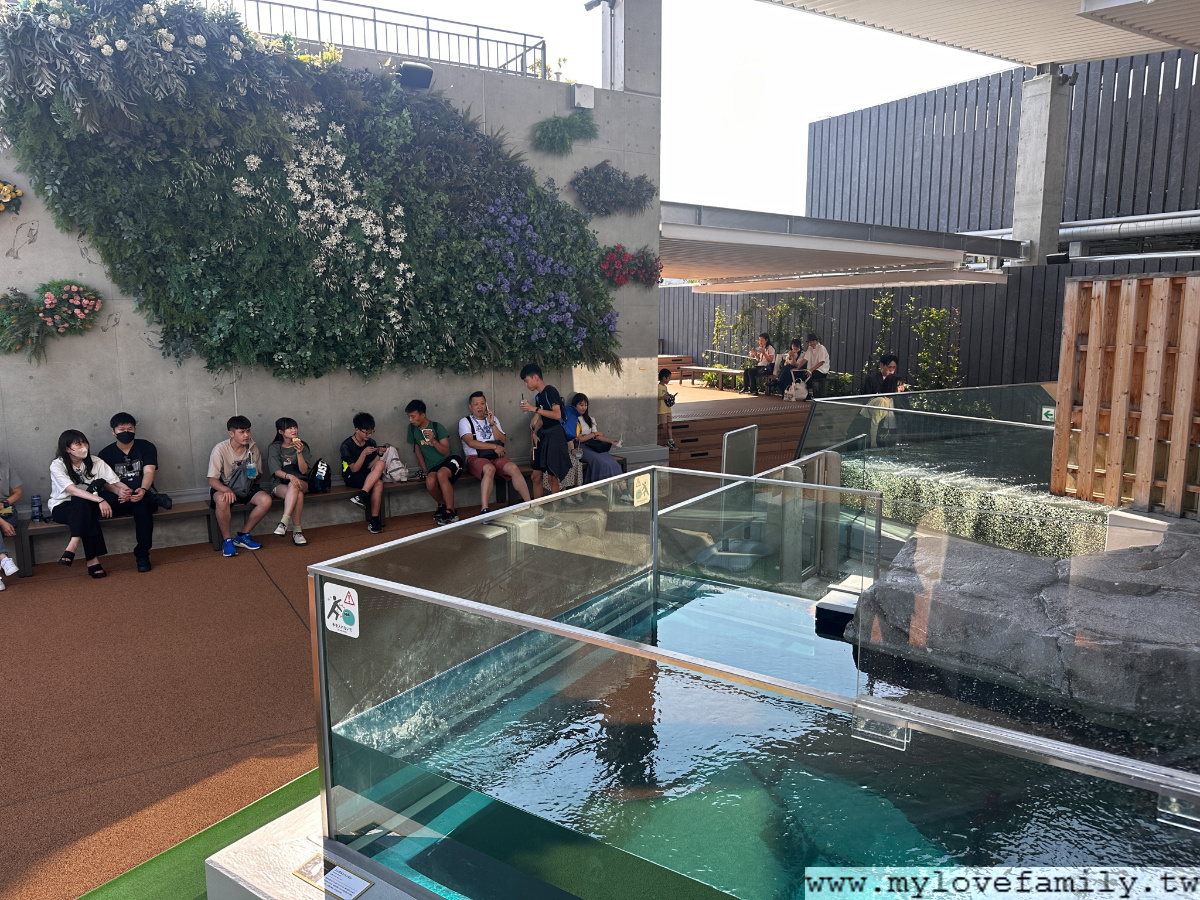 水