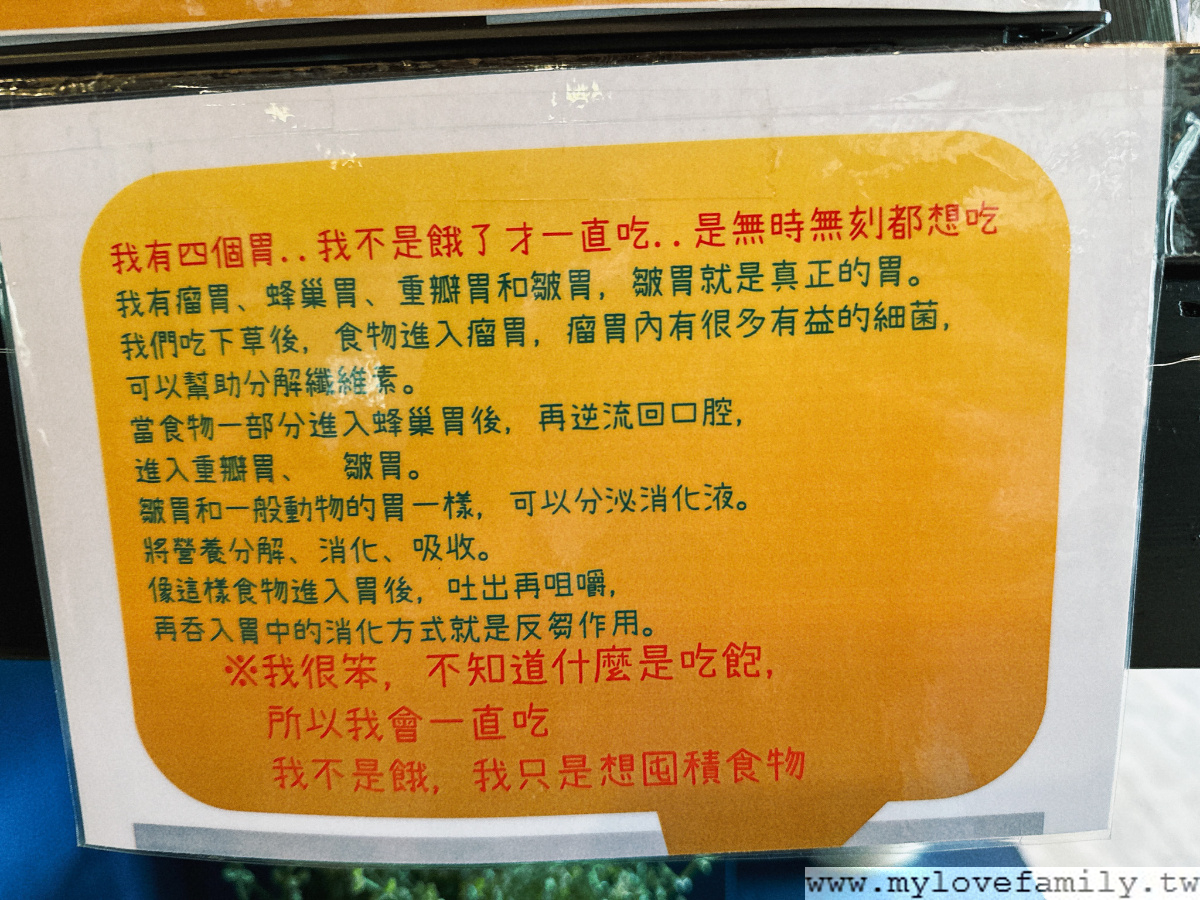 綠光森林景觀民宿餐廳