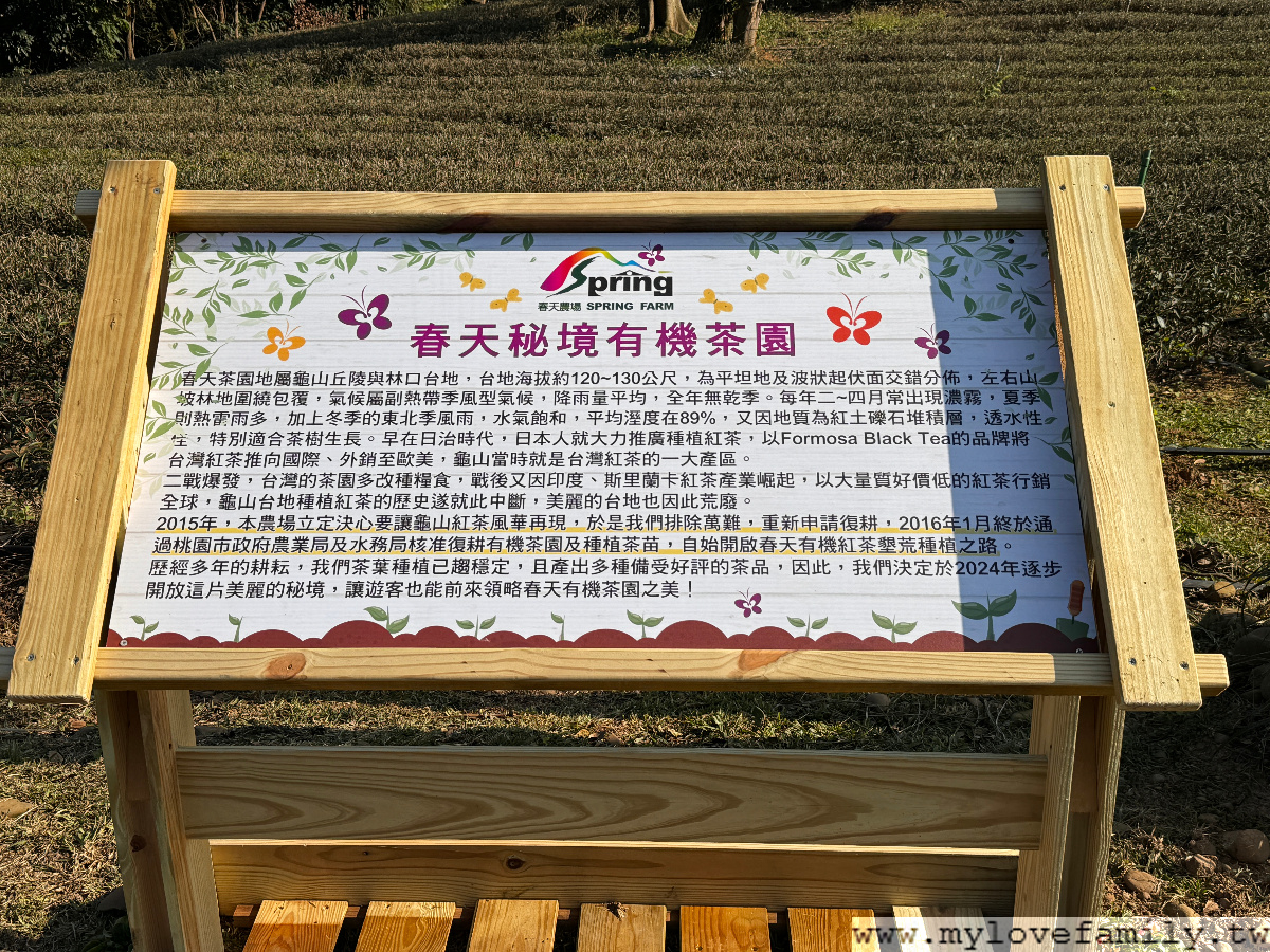 春天紅茶專賣店
