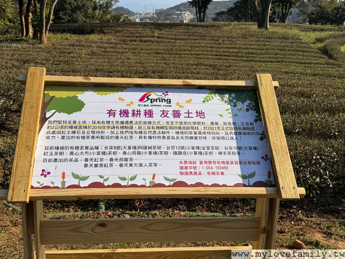 春天紅茶專賣店