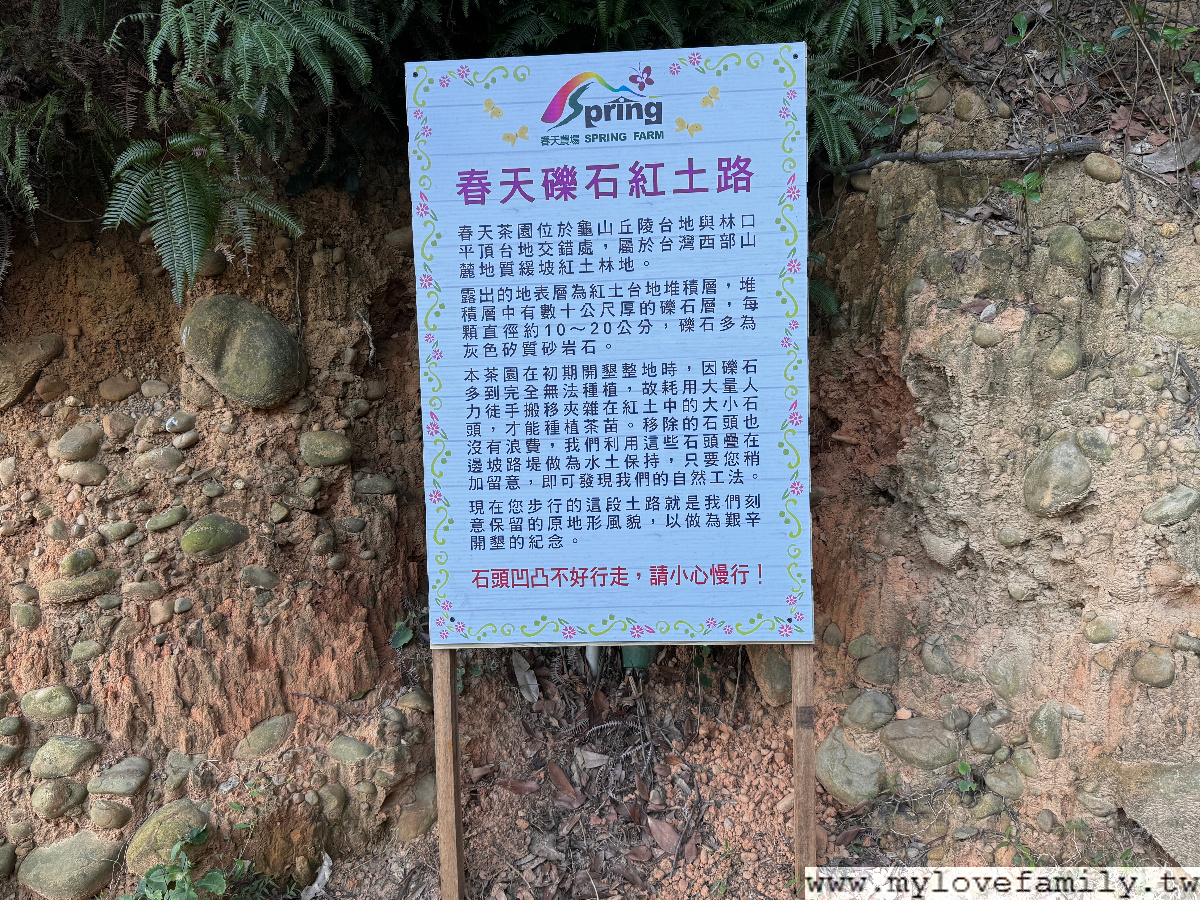 春天紅茶專賣店