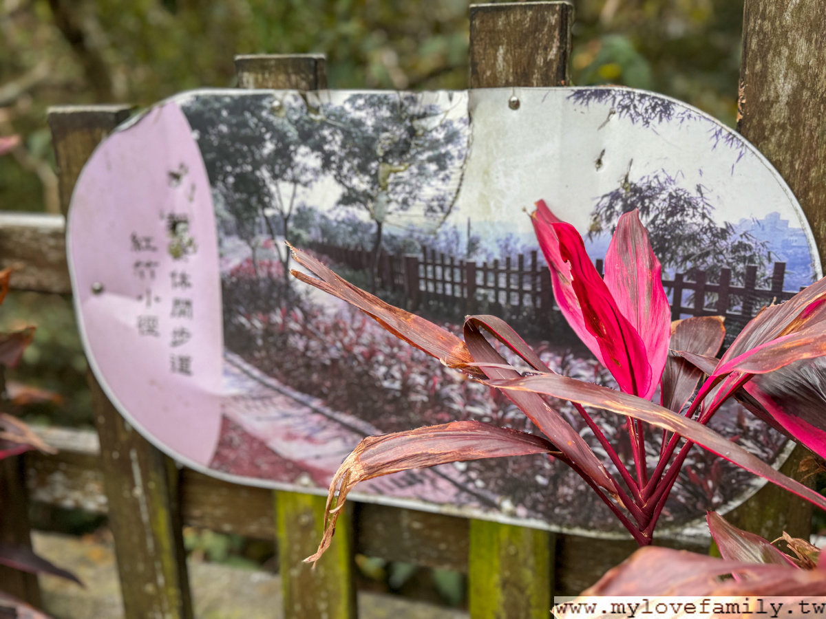 新寮休閒步道