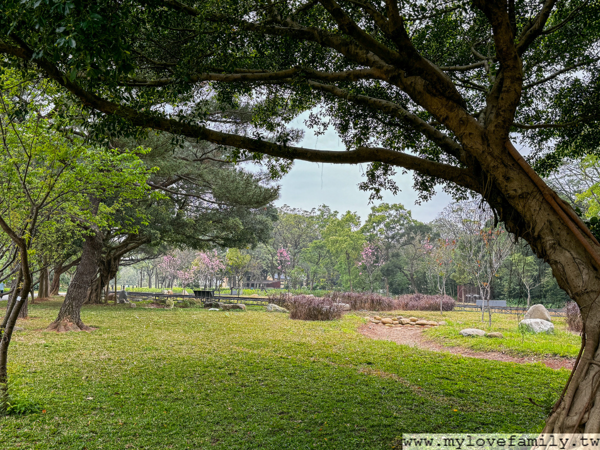 大湳森林公園