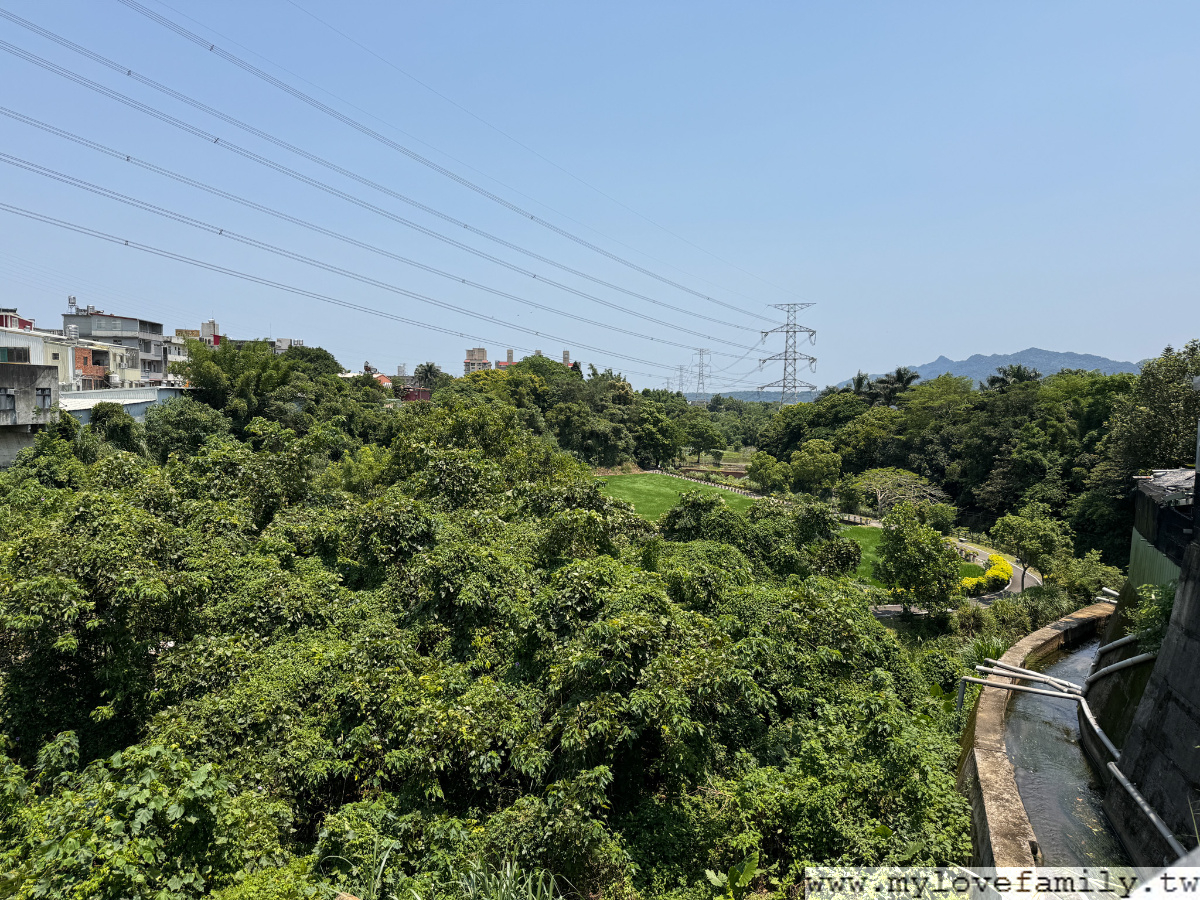 村子裡 The Village