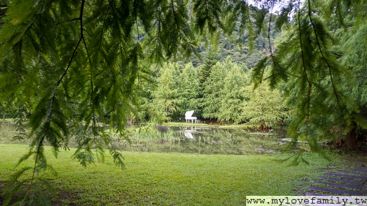雲水森林